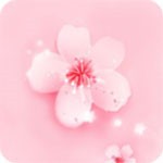 成品网站源码入口隐藏通道免费版