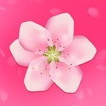 花火视频免费观看下载