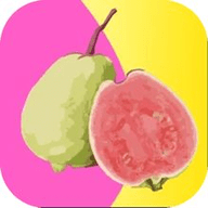 蜜桃视频软件下载大全