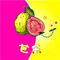 992tv影视手机版免费下载