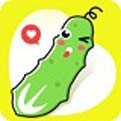 六间房直播app下载大全