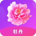 小黄花必看开车软件推荐免费