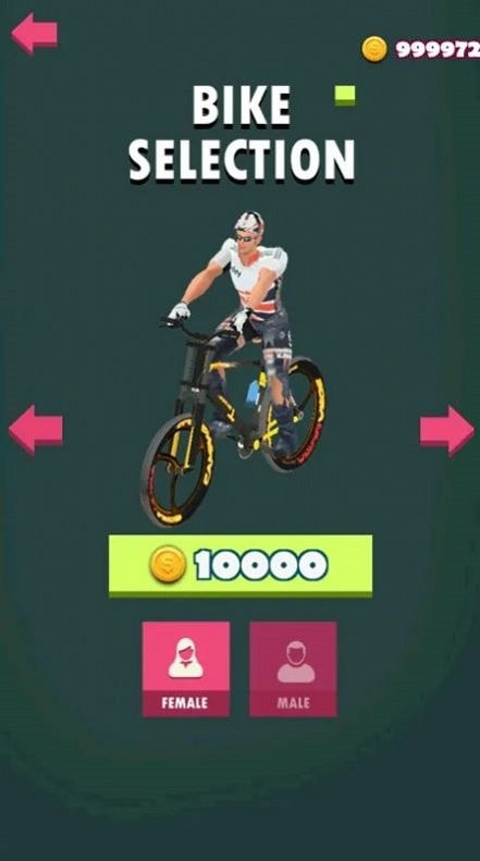 BMX疯狂旋转（BMX Flip Madness）1