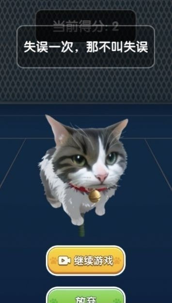 猫咪网球冠军0