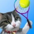 猫咪网球冠军_logo